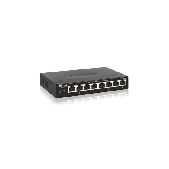 GS308T-100PES