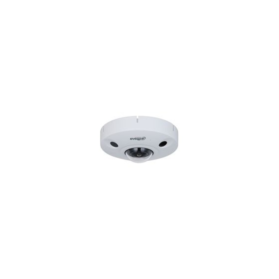 DH-IPC-EBW81242P-AS-IVC-S2