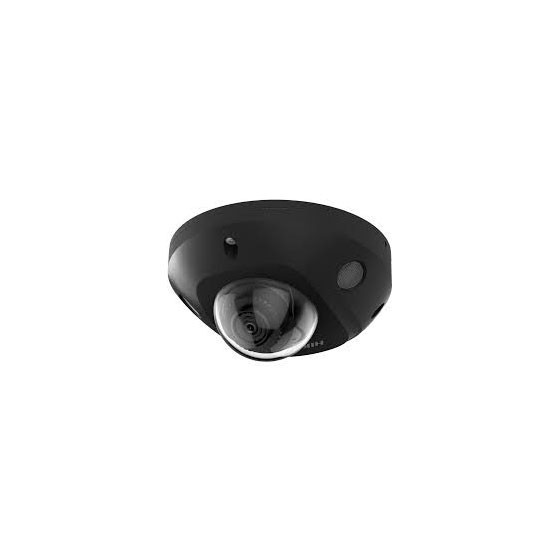 DS-2CD2543G2-IS(2.8mm)(Noir)